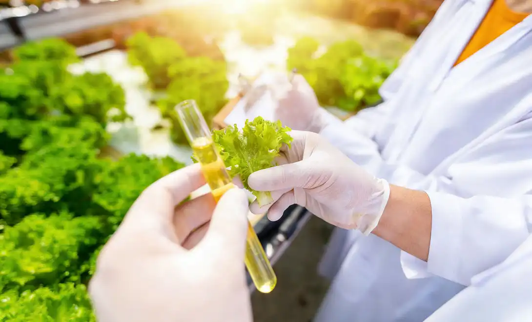 How Boron Amino Acid Chelate is Changing Micronutrient Delivery？